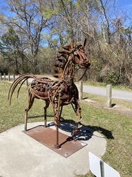 Horse_Bowling