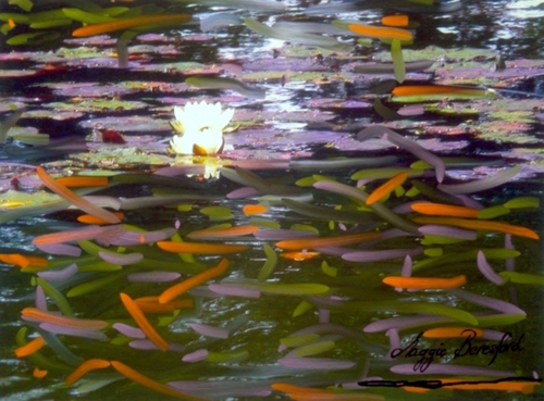  992 maryborough waterlilies 12 3 2008  006 011