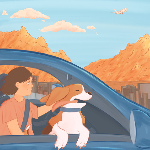 Joyride